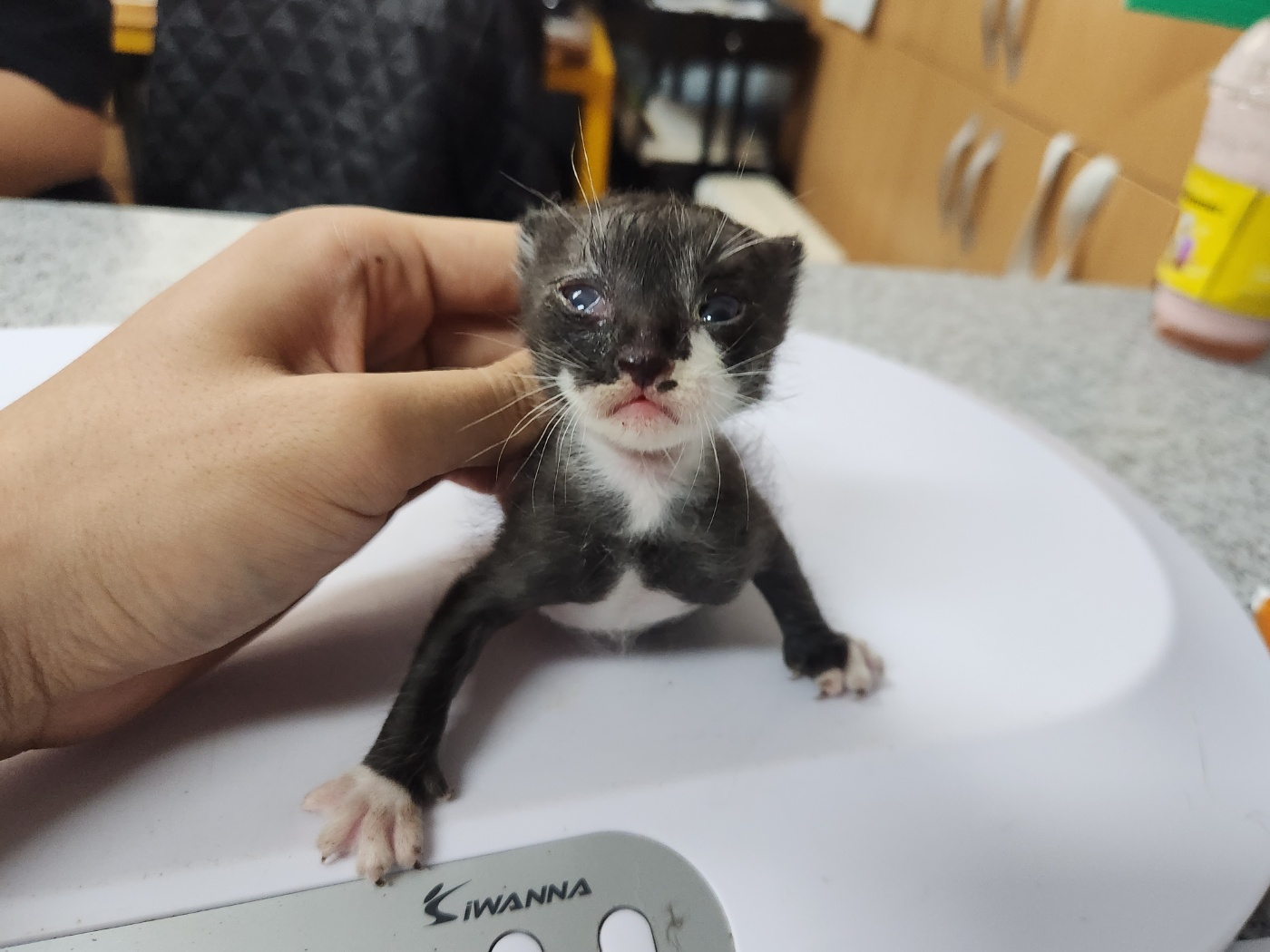 광주 동물보호소_429361202300280